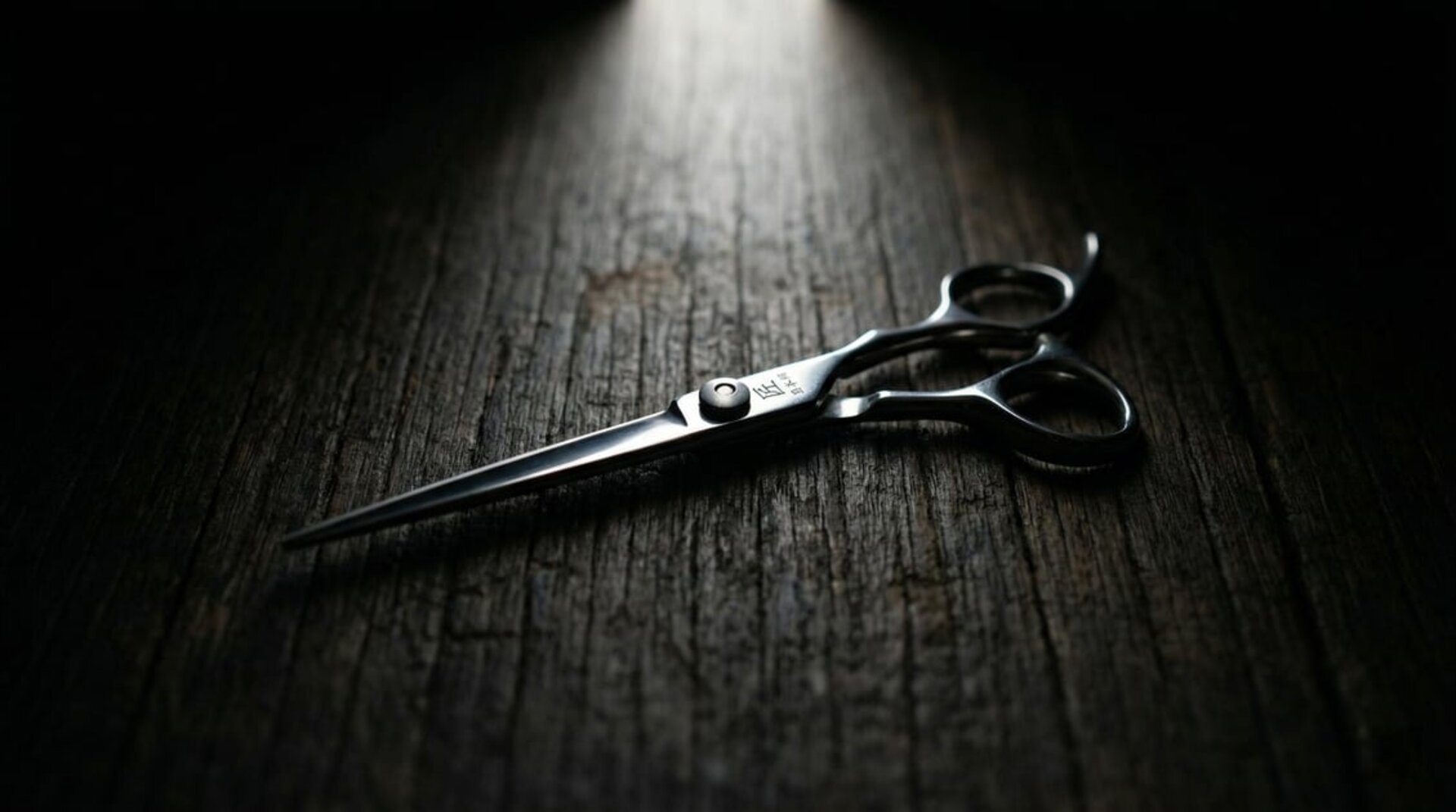 Premium Japanese cutting shear close-up on dark wood surface with dramatic spotlight