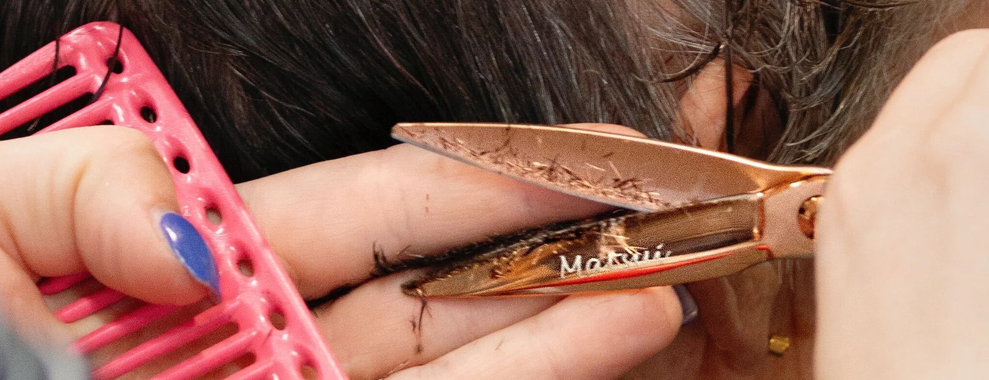 Sozu banner