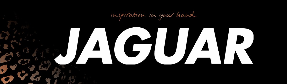 Jaguar banner