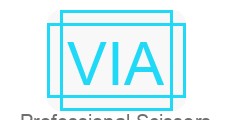 VIA logo