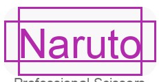 Naruto logo