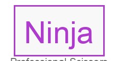 Ninja logo