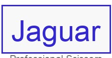 Jaguar logo