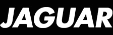 Jaguar logo