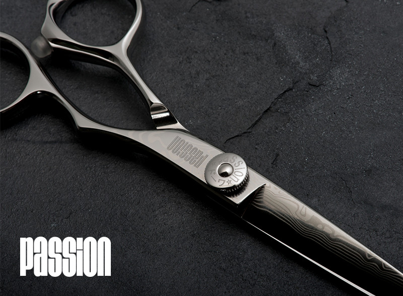 Passion logo