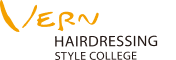 Verne logo