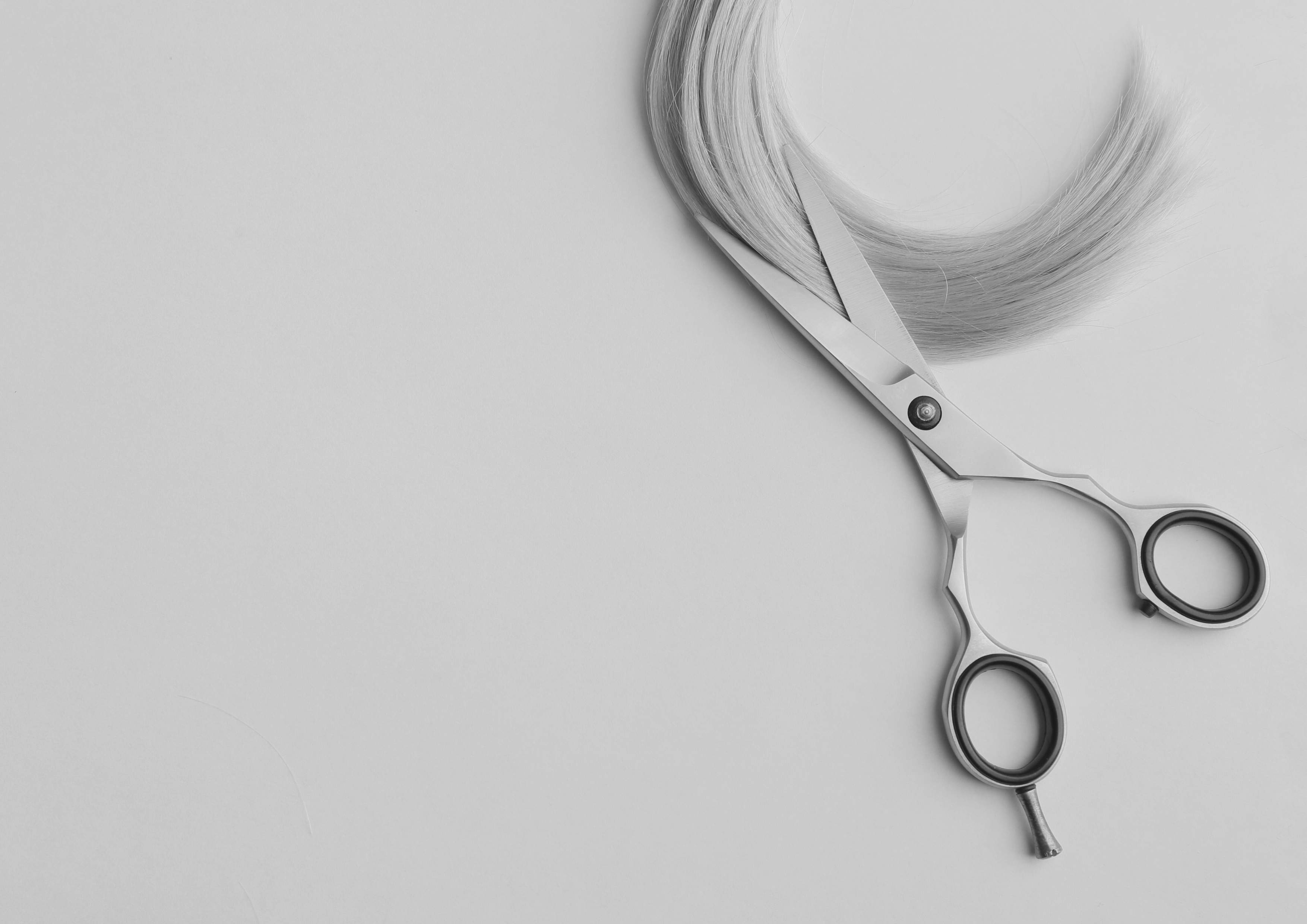 Professional hair scissors website directory showing official brand sites and retailers