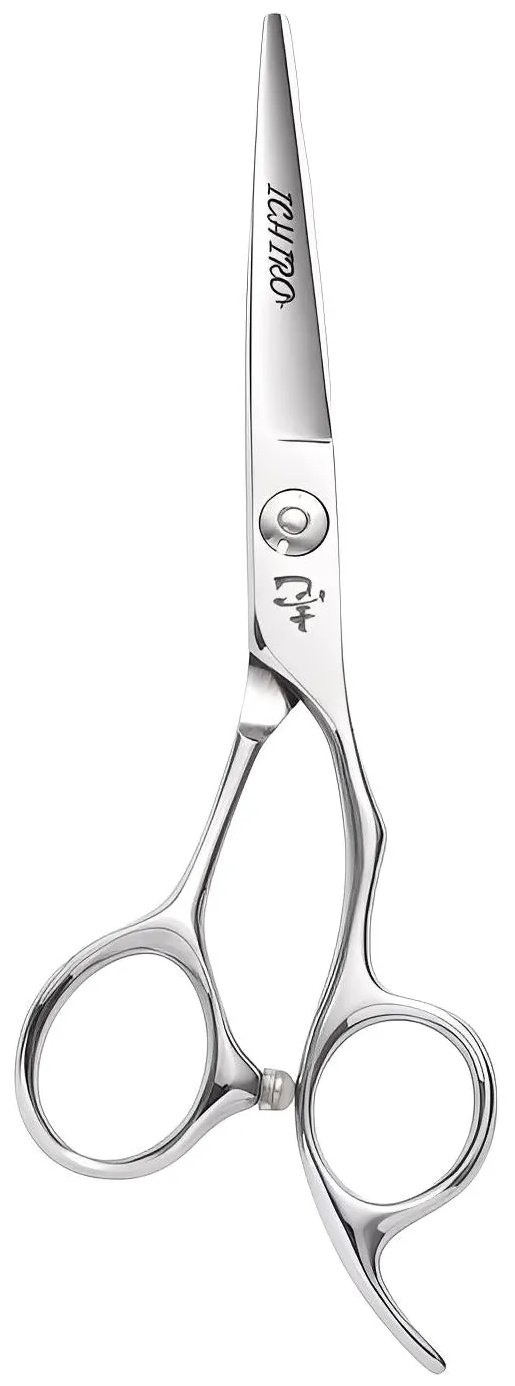 Ichiro Ergo Apprentice Hair Cutting Scissors