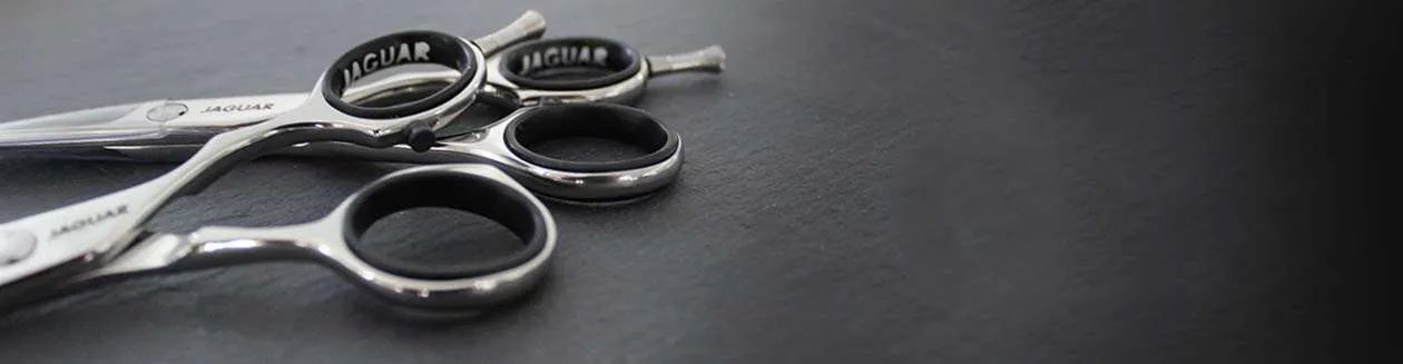 Jaguar Silver Line CJ Plus Thinning Scissors