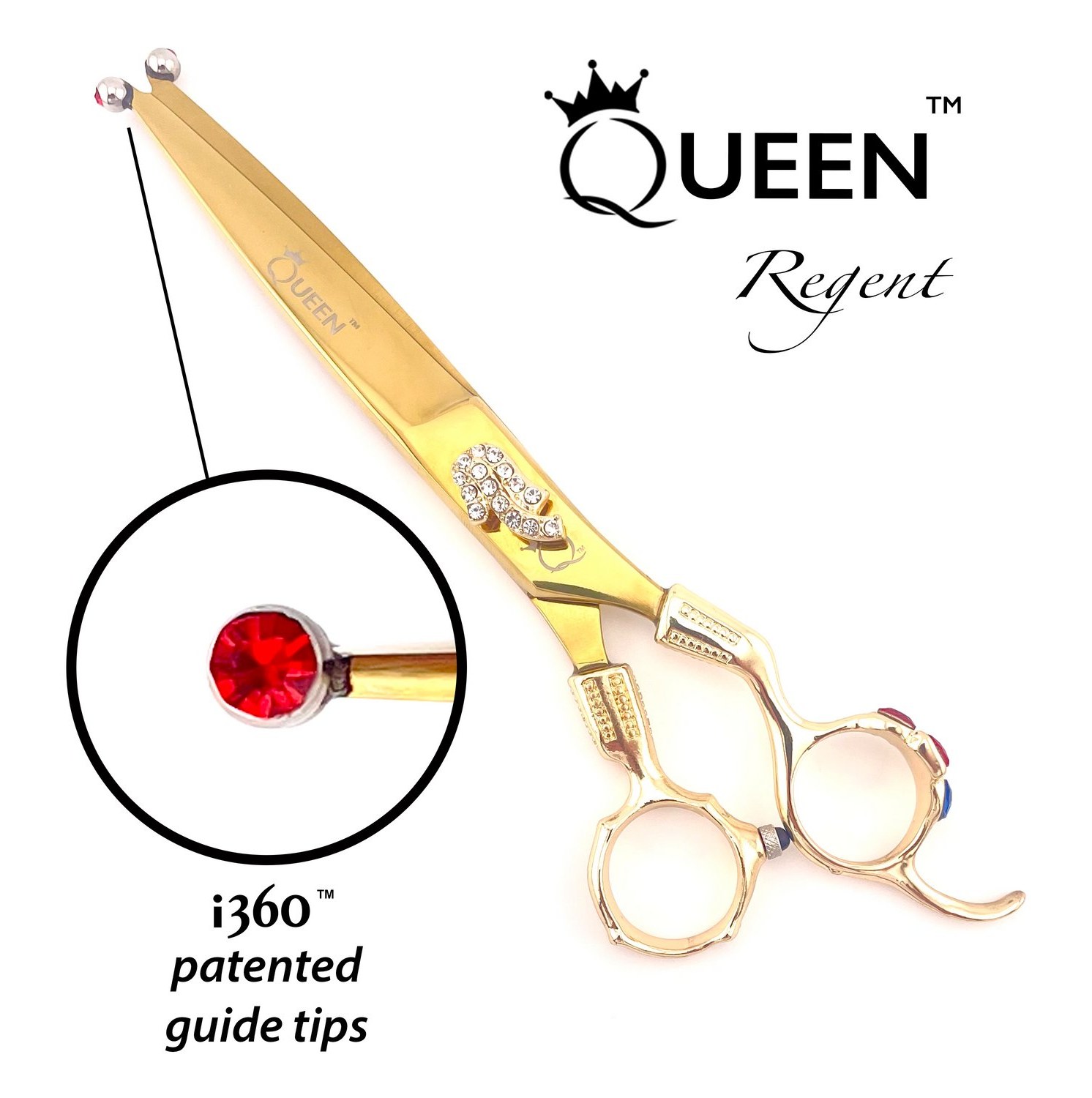 point-cut pro Queen Regent i360 Cutting Scissors