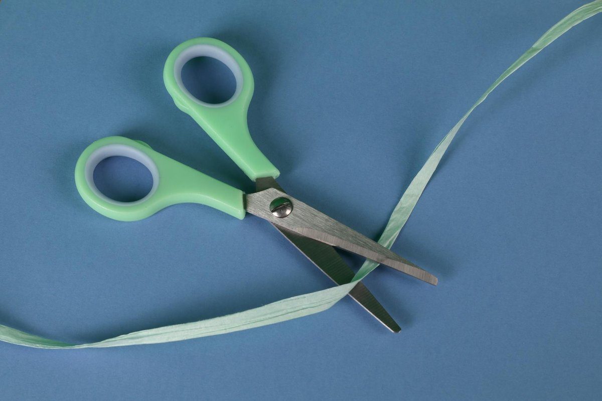Ichiro vs Juntetsu: Which Japanese Scissors Brand is Right for You?