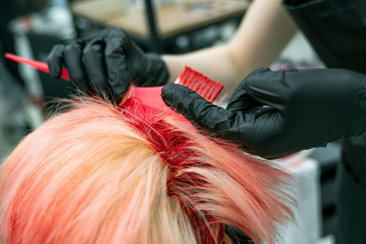 Professional hairdresser cutting customer hair in modern salon