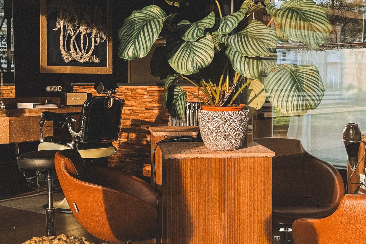 A wood-and-brick barbershop interior in Le Havre, France.