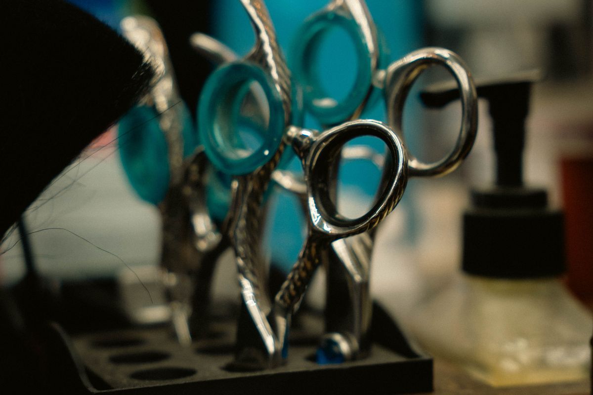 Several professional cutting and thinning shears stand in a tool holder at a salon.