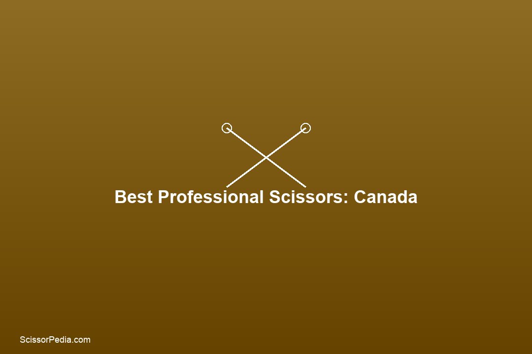 Best Professional Hair Scissors in Canada: Pricing, Brands, and Where to Buy