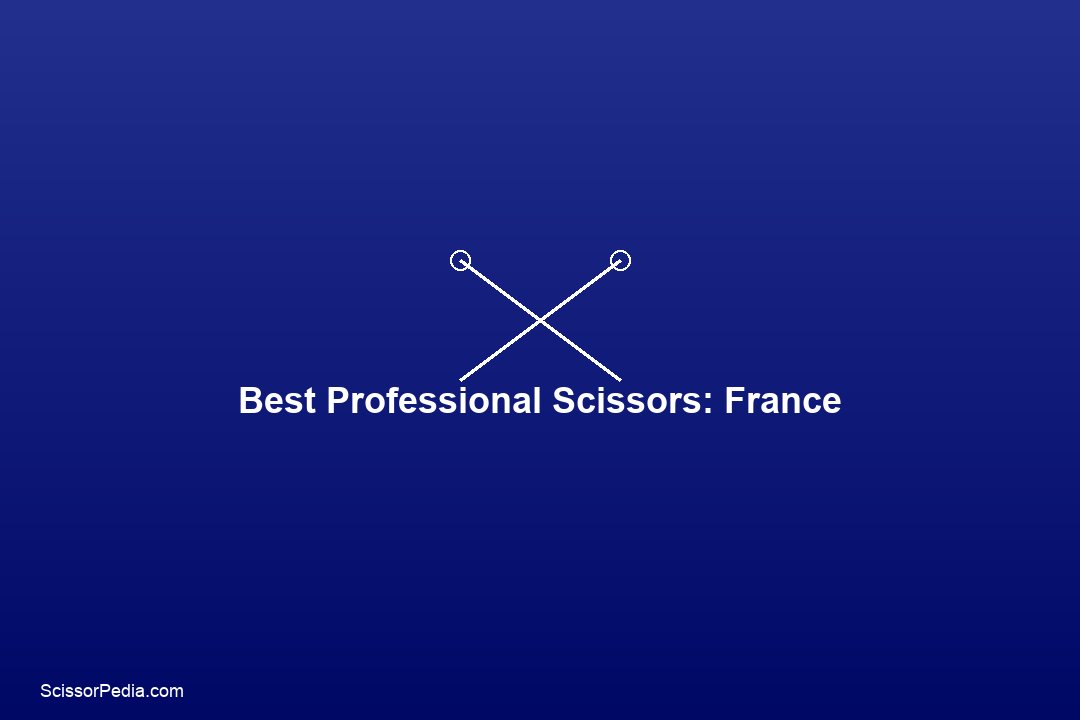 Best Professional Scissors in France: Japanese Precision Meets European Tradition
