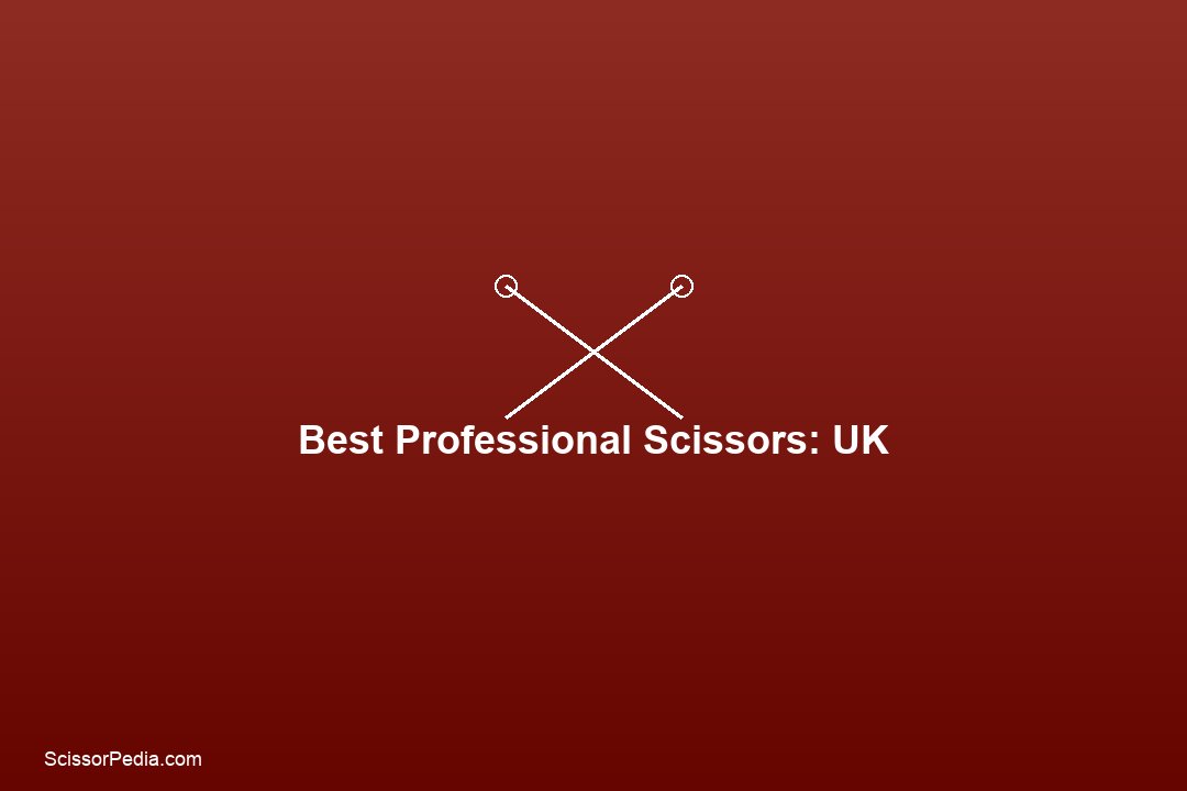 Best Japanese Scissors Brands Ranked: From Budget to Ultra-Premium