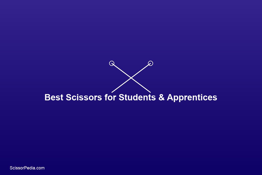 Ichiro vs Juntetsu: Which Japanese Scissors Brand is Right for You?