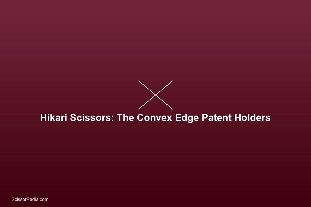 Inside a Japanese Salon: How Stylists Choose, Use, and Maintain Their Scissors