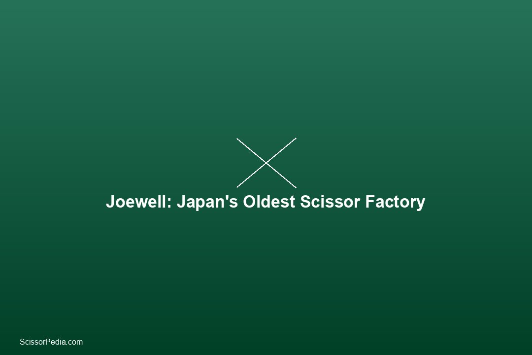 Inside a Japanese Salon: How Stylists Choose, Use, and Maintain Their Scissors