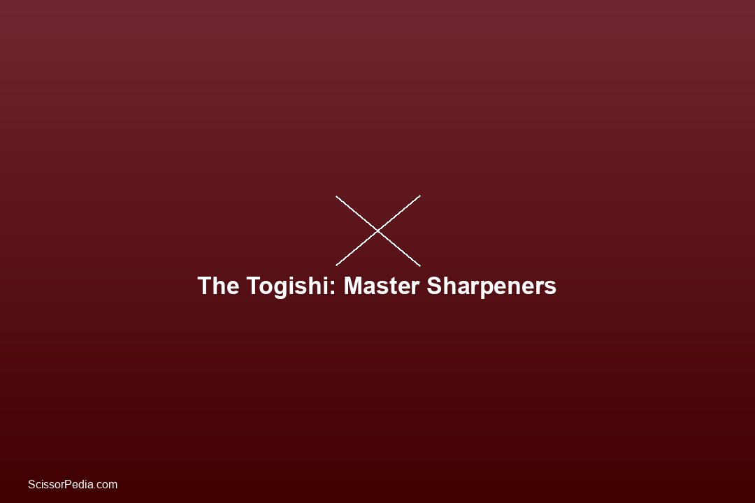 Best Professional Scissors in France: Japanese Precision Meets European Tradition